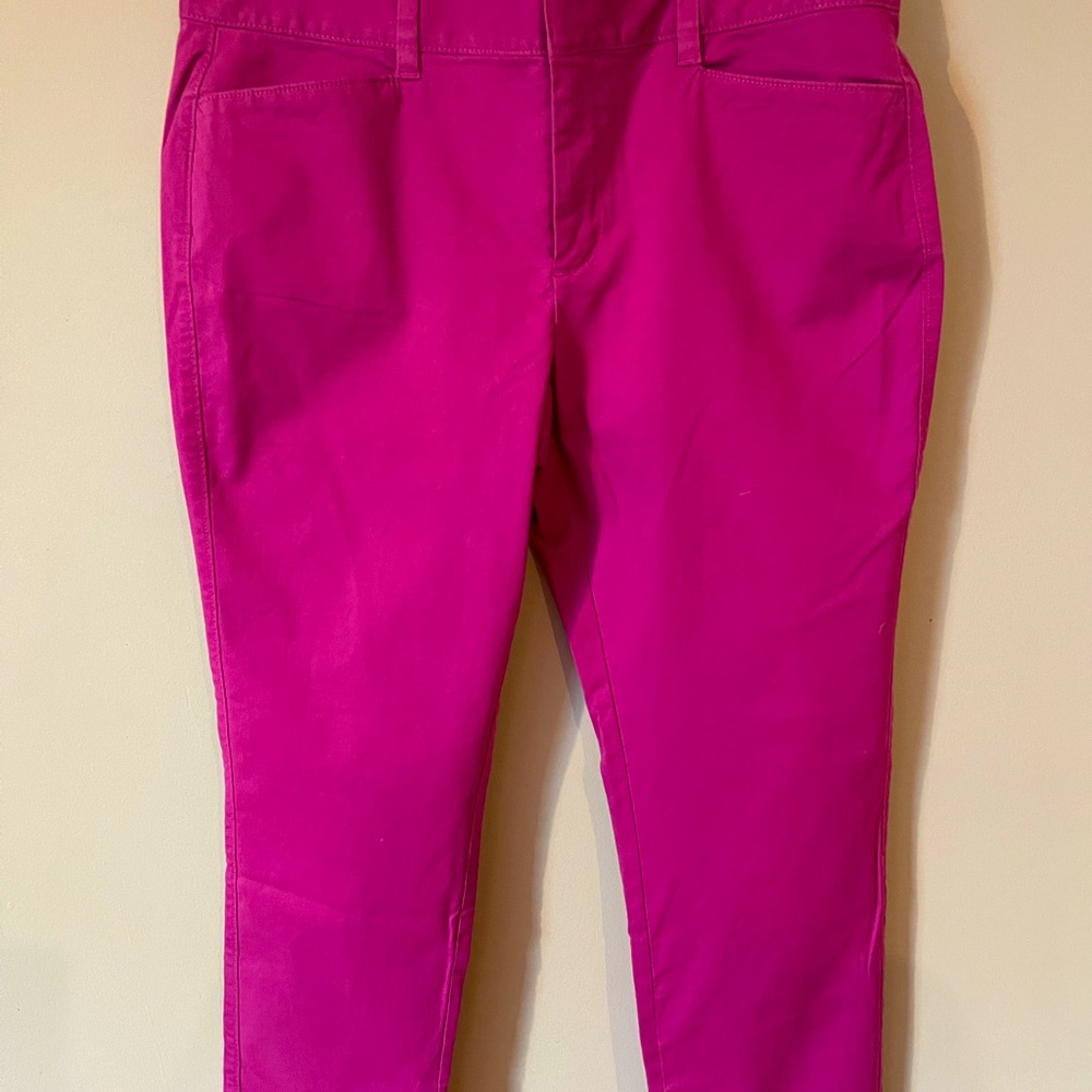 Ann Taylor Loft Julie Curvy ankle length with zipper at the ankle.